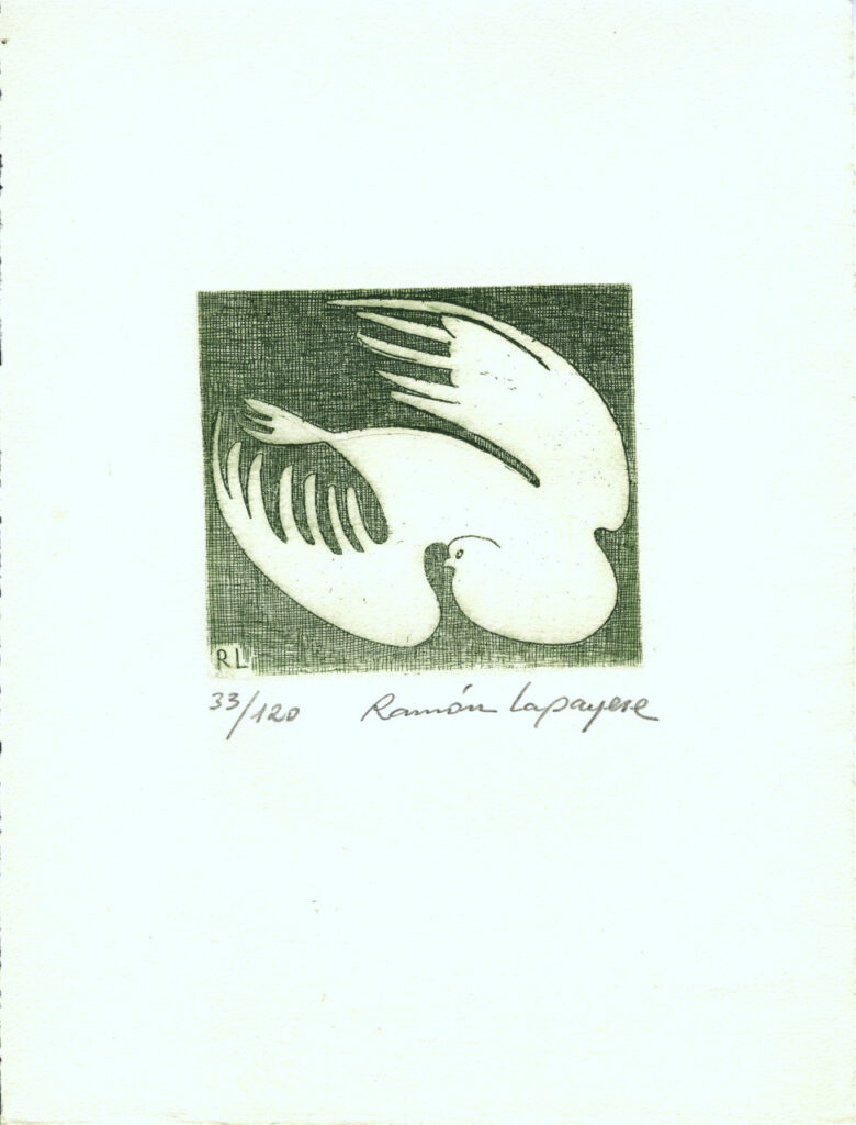 Lapayese- Obra gráfica-Paloma buchona, aguafuerte 4 Lapayese- Obra gráfica-Paloma buchona, aguafuerte 4