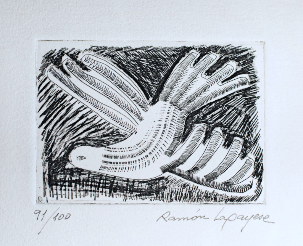Lapayese- Obra gráfica-Paloma de la Paz, aguafuerte Lapayese- Obra gráfica-Paloma de la Paz, aguafuerte