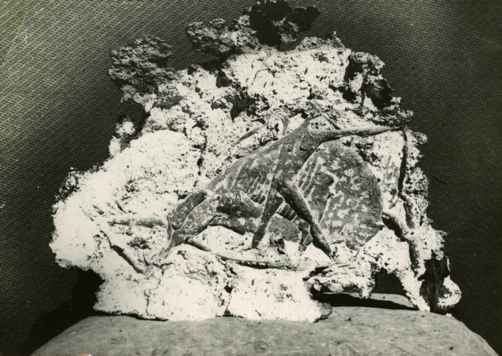 Lapayese - escultura - tauromaquia - toro - torero - Toreo fósil - impresión en cemento - 1961 Lapayese - escultura - tauromaquia - toro - torero - Toreo fósil - impresión en cemento - 1961