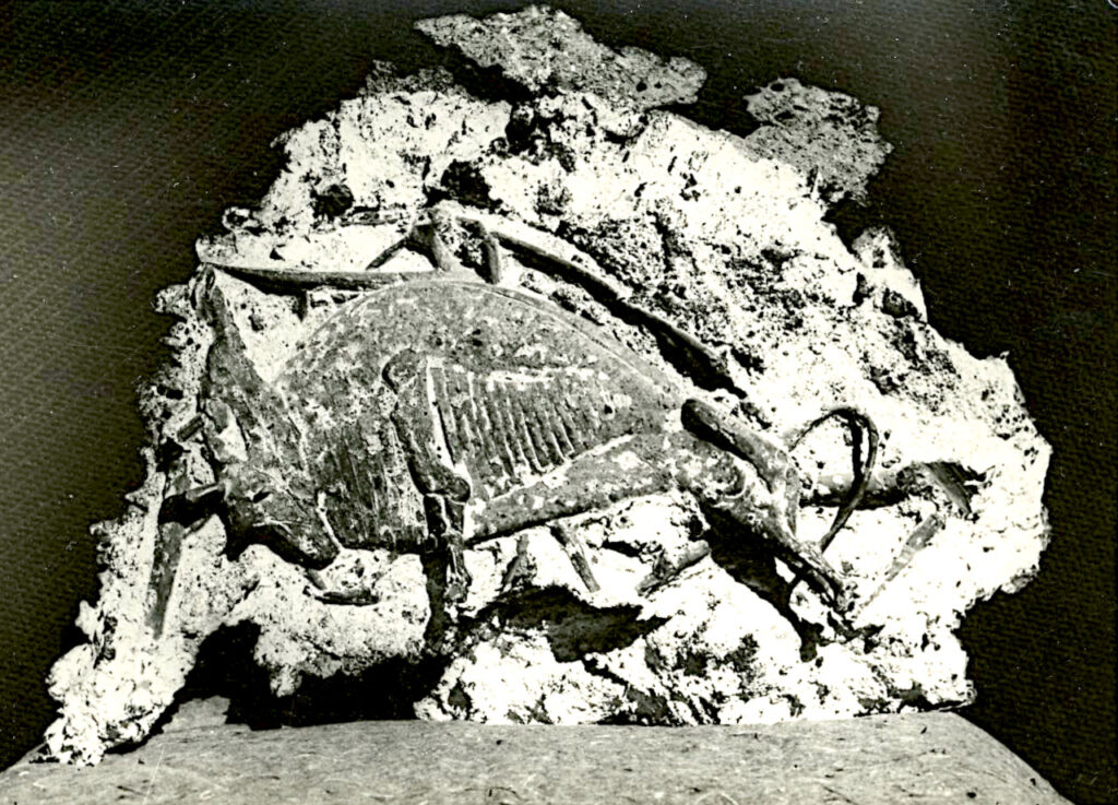 Lapayese - escultura - tauromaquia - toro - torero - Toreo fósil - impresión en cemento el torero queda detrás del toro - 1961 Lapayese - escultura - tauromaquia - toro - torero - Toreo fósil - impresión en cemento el torero queda detrás del toro - 1961